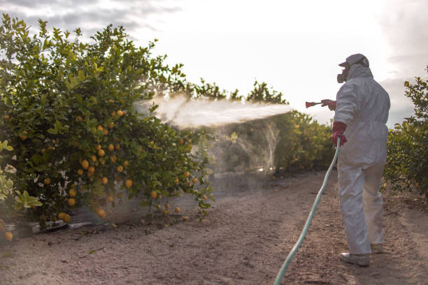Best Commercial Pest Control Services  in Piru, CA